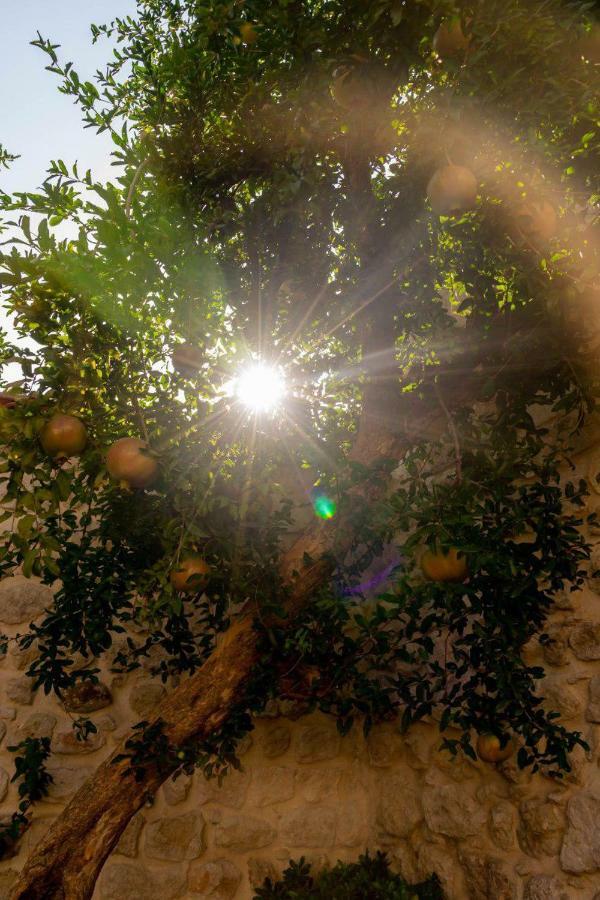 هاتاي Yesil Ev Cafe & Boutique Hotel المظهر الخارجي الصورة